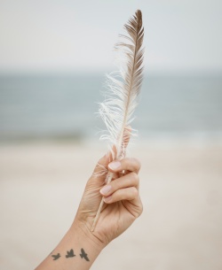 Hand holding a feather